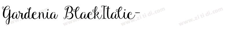 Gardenia BlackItalic字体转换